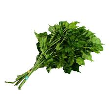 Dahon ng Sili