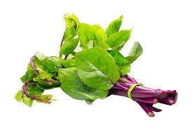 Alugbati