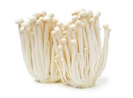 Enoki Mushroom