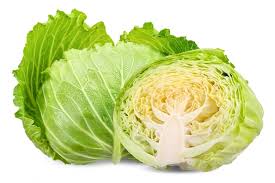 Cabbage