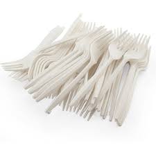 Plastic Fork