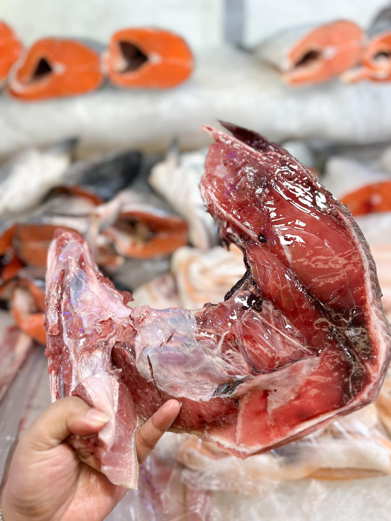 Tuna Panga