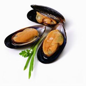 Whole Chilean Mussels 1KL