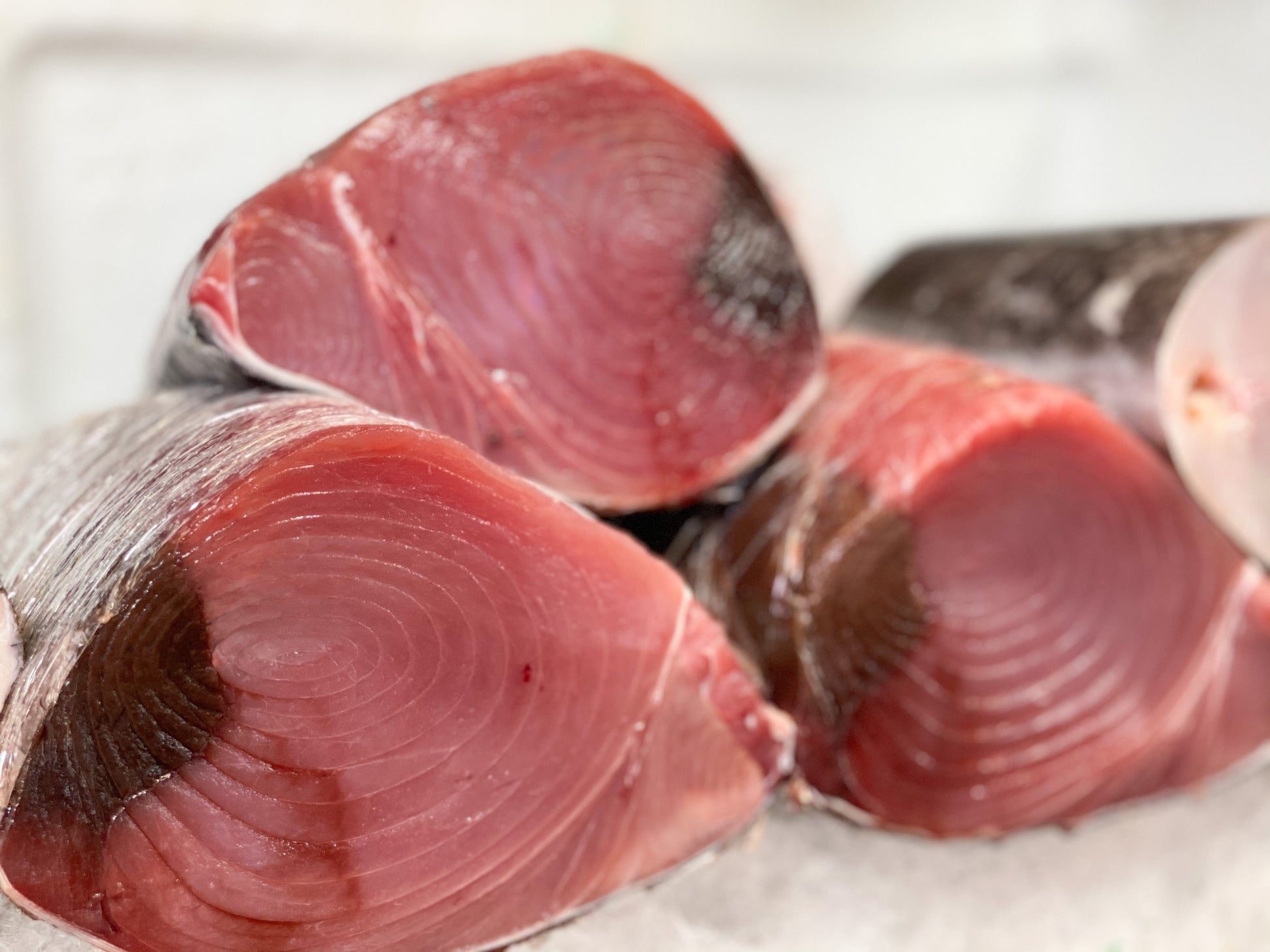 Tuna Steak
