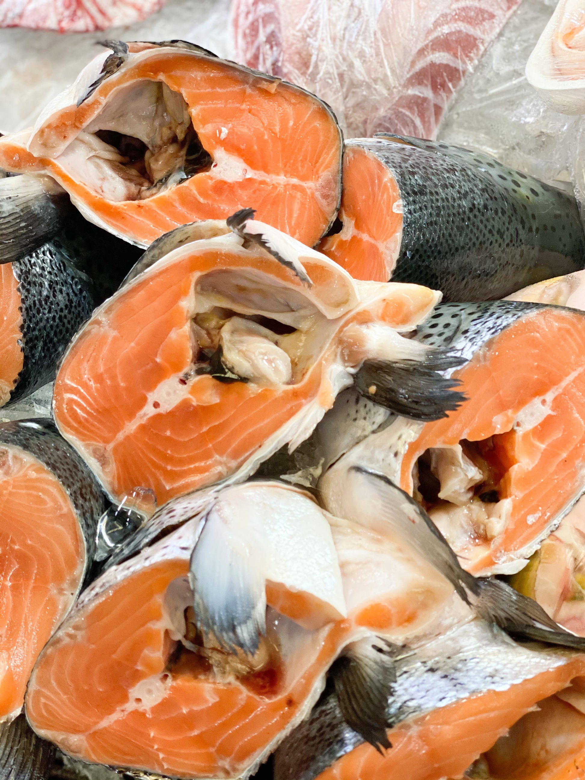 Salmon Head Straight Cut