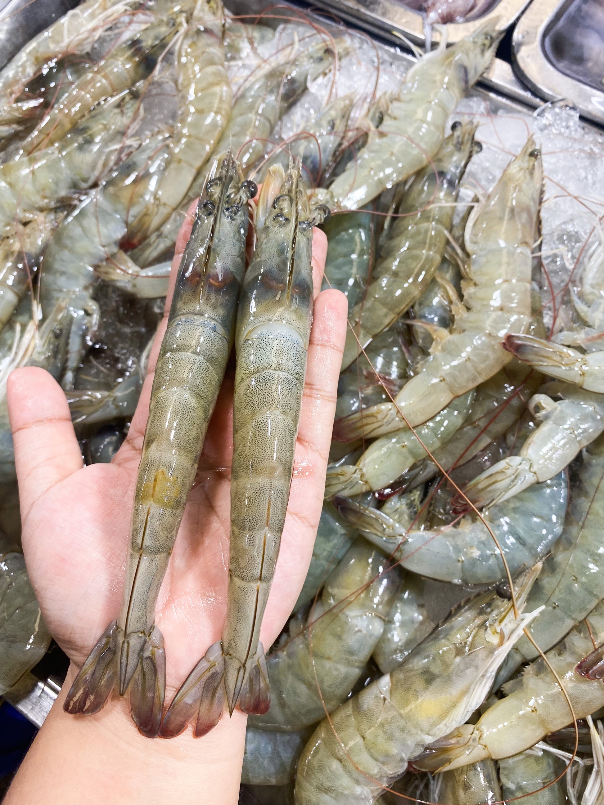 Prawns