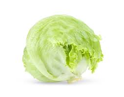 Ice Berg Lettuce