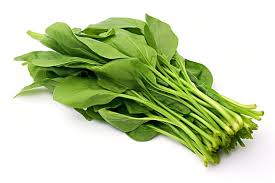 Kangkong