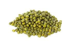 Monggo