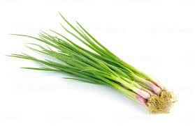 Spring Onion