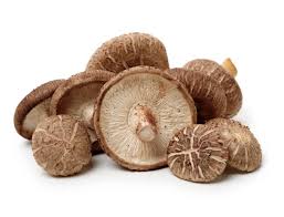 Shitake Mushroom
