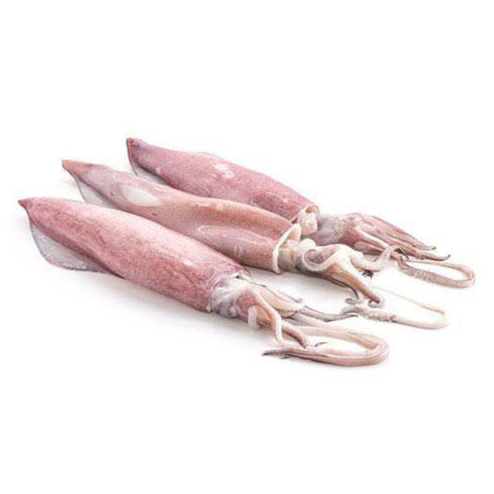 Pusit